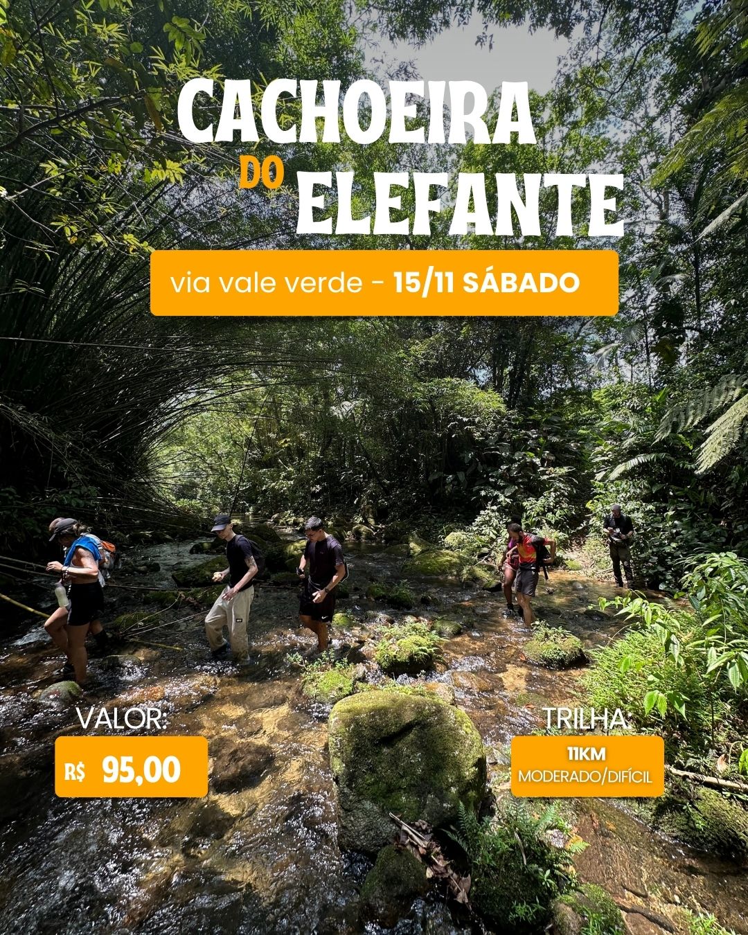 WhatsApp Image 2025-11-07 at 09.25.17 (1).jpeg